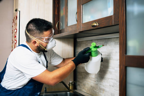 Best Best Pest Control Near Me  in Rson, CA