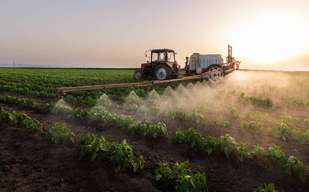 Best Local Pest Control Services  in Rson, CA