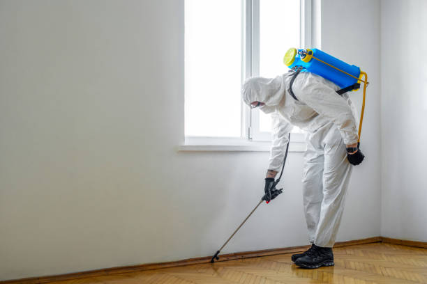 Best Rat Extermination Near Me  in Rson, CA