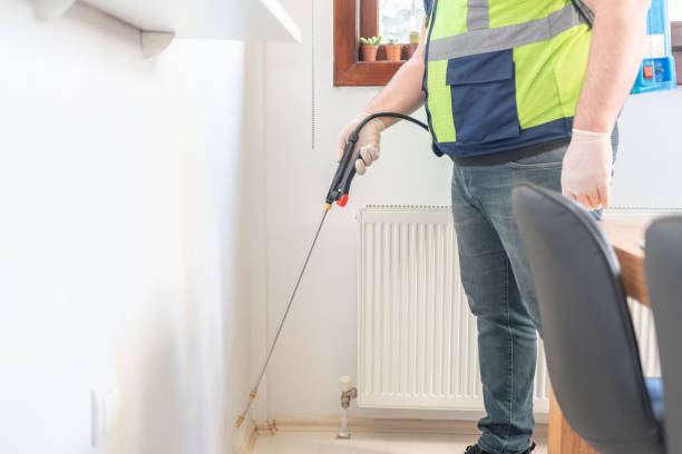 Best Affordable Pest Control Services  in Rson, CA
