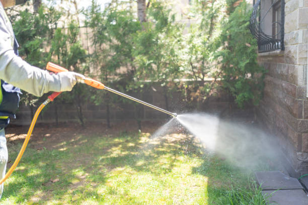 Best Local Pest Control Services  in Rson, CA