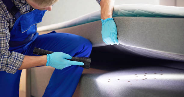 Best Mosquito Control Services  in Rson, CA