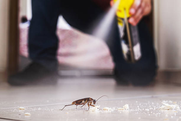 Best Mosquito Control Services  in Rson, CA